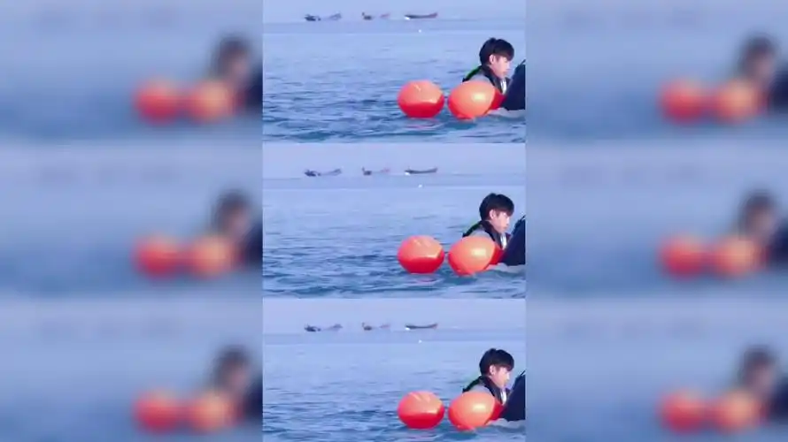 任嘉伦学会游泳了吗