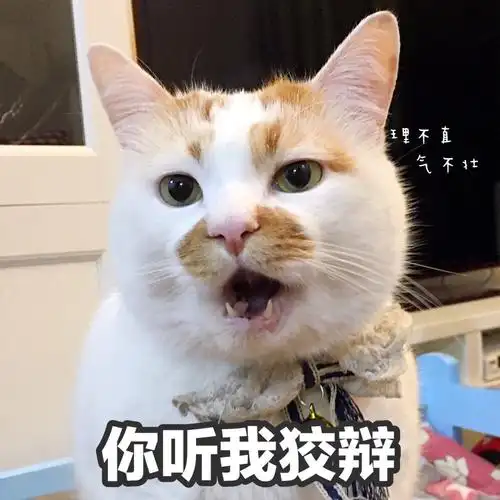 楼楼 猫 可爱 萌宠 表情包 头像 沙雕 搞笑 - 堆糖,美图壁纸兴趣社区