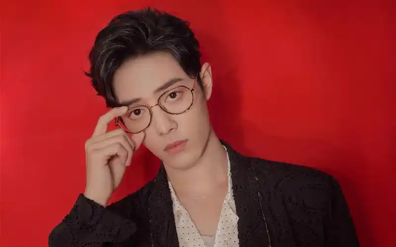 肖战帅气最新壁纸_人气男神肖战