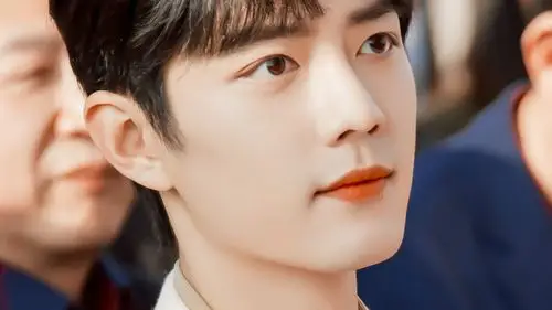 橙光素材肖战——我的老哥哎