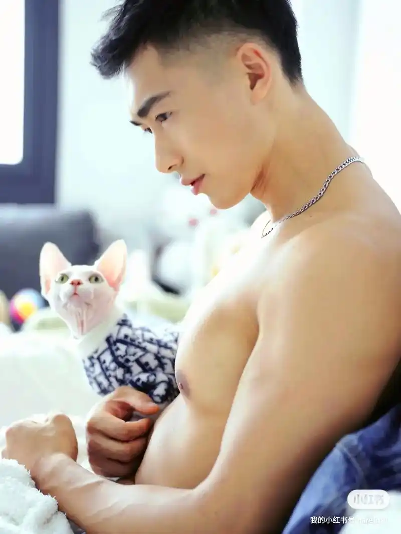 又是帅帅和萌萌的组合.#摄影 #颜值 #腹肌 #肌肉 #猫  - 抖音