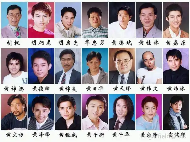 港影四大男配角 廖吴林林