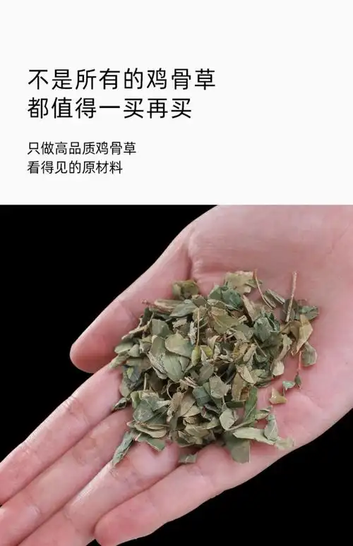 同仁堂同仁堂鸡骨草茶叶500g新鲜中药广西叶子养生茶中药材非粉鸡骨草